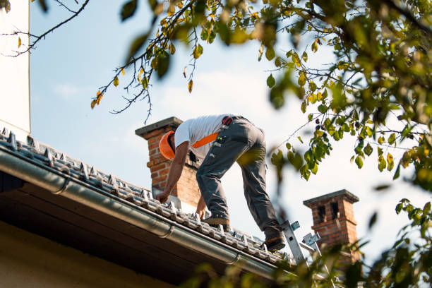Roof Gutter Cleaning in Havelock, NC